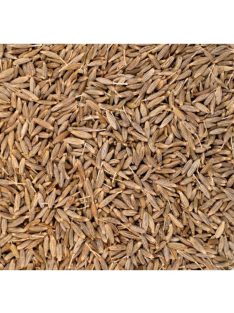 Bio egész római kömény